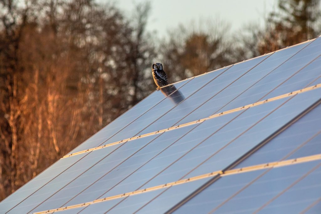 What is the Theory and Construction of Solar Panels?